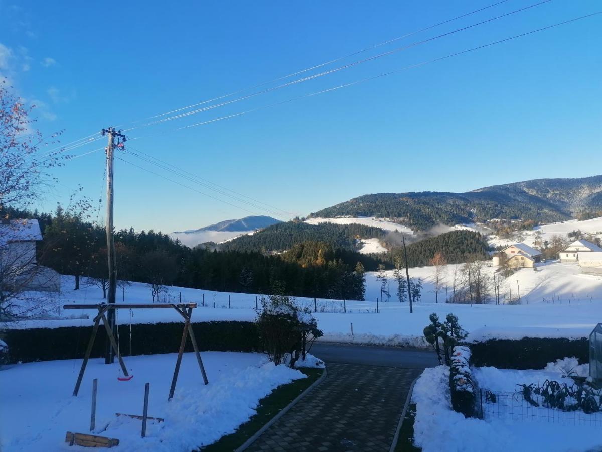 Apartma Tia 2 Zreče Exteriör bild